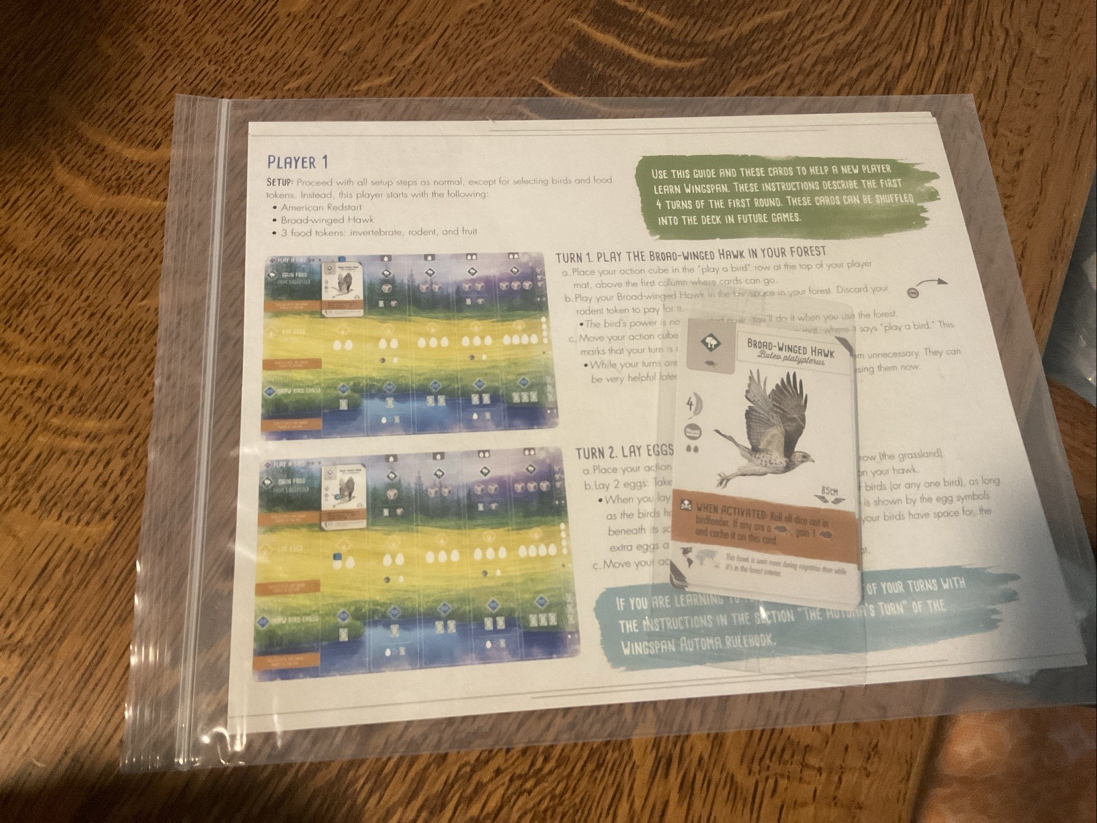 Wingspan Board Game Stonemaier Bird Strategy Engine Build