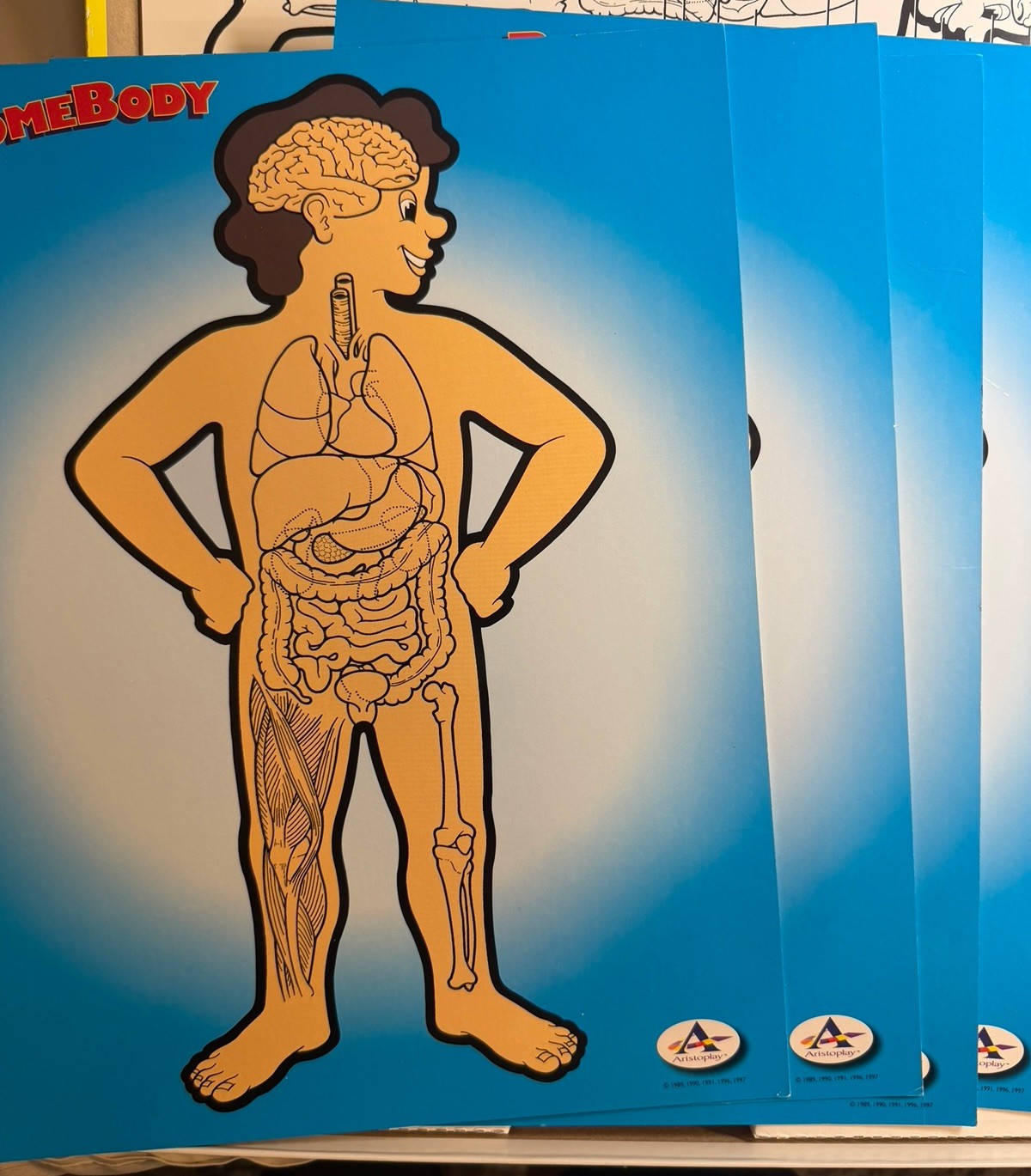 Some Body Five Human Anatomy Games Near COMPLETE NO INSTRUCTIONS Aristoplay 1999