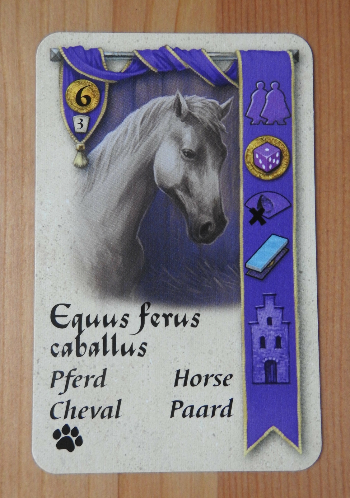 Bruges – Pets | Brügge – Die Haustiere | Mini Expansion | New | English Rules