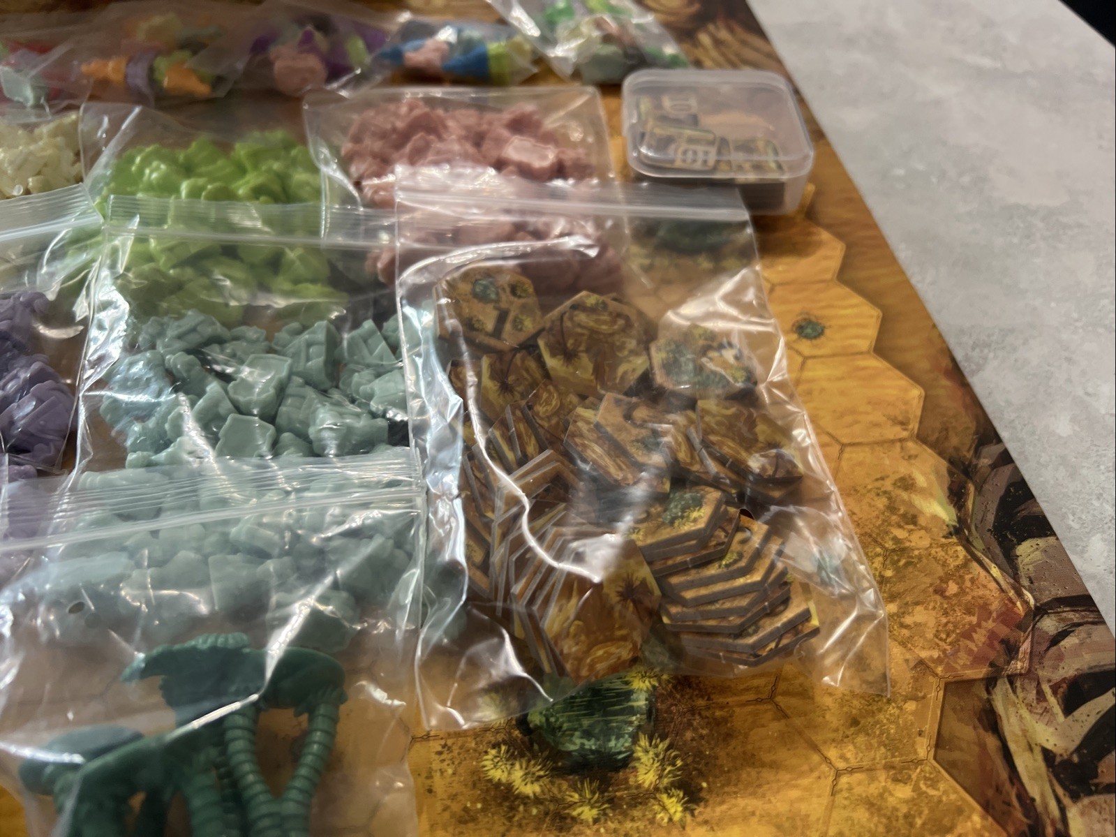 Through The Desert Board Game 100% Complete