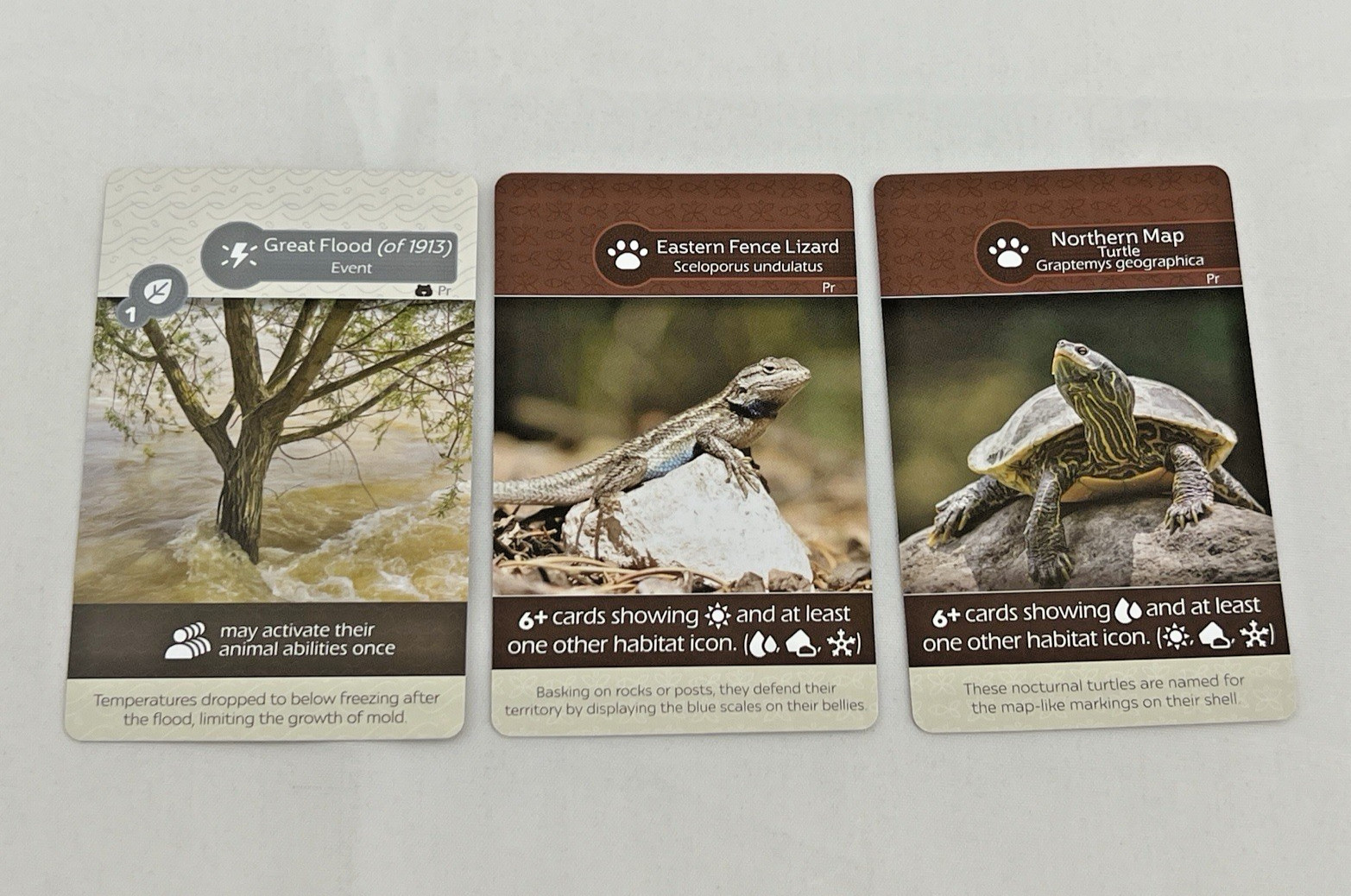 Earth Board Game Promo Card Set Pack 1 – 3 Cards – Inside Up Promos Gen Con 2025