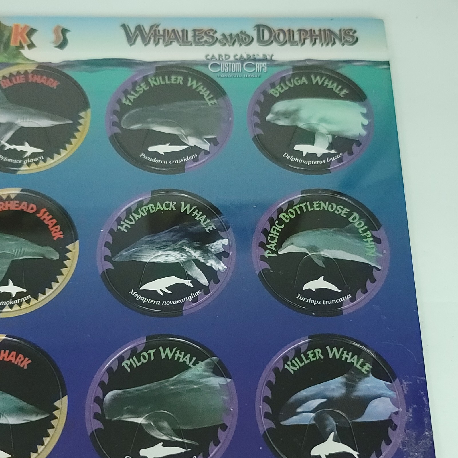 Pogs Sharks Whales Dolphins Custom Caps Sealed On Card NEW