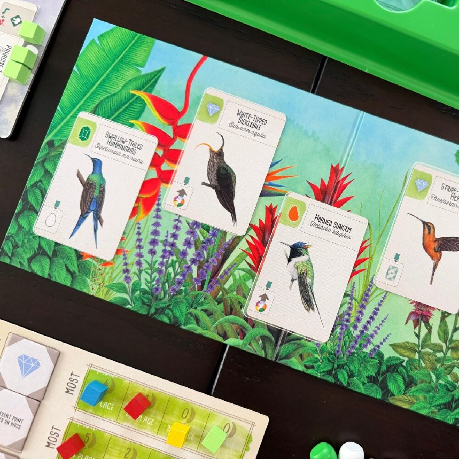 Wingspan – Americas Expansion