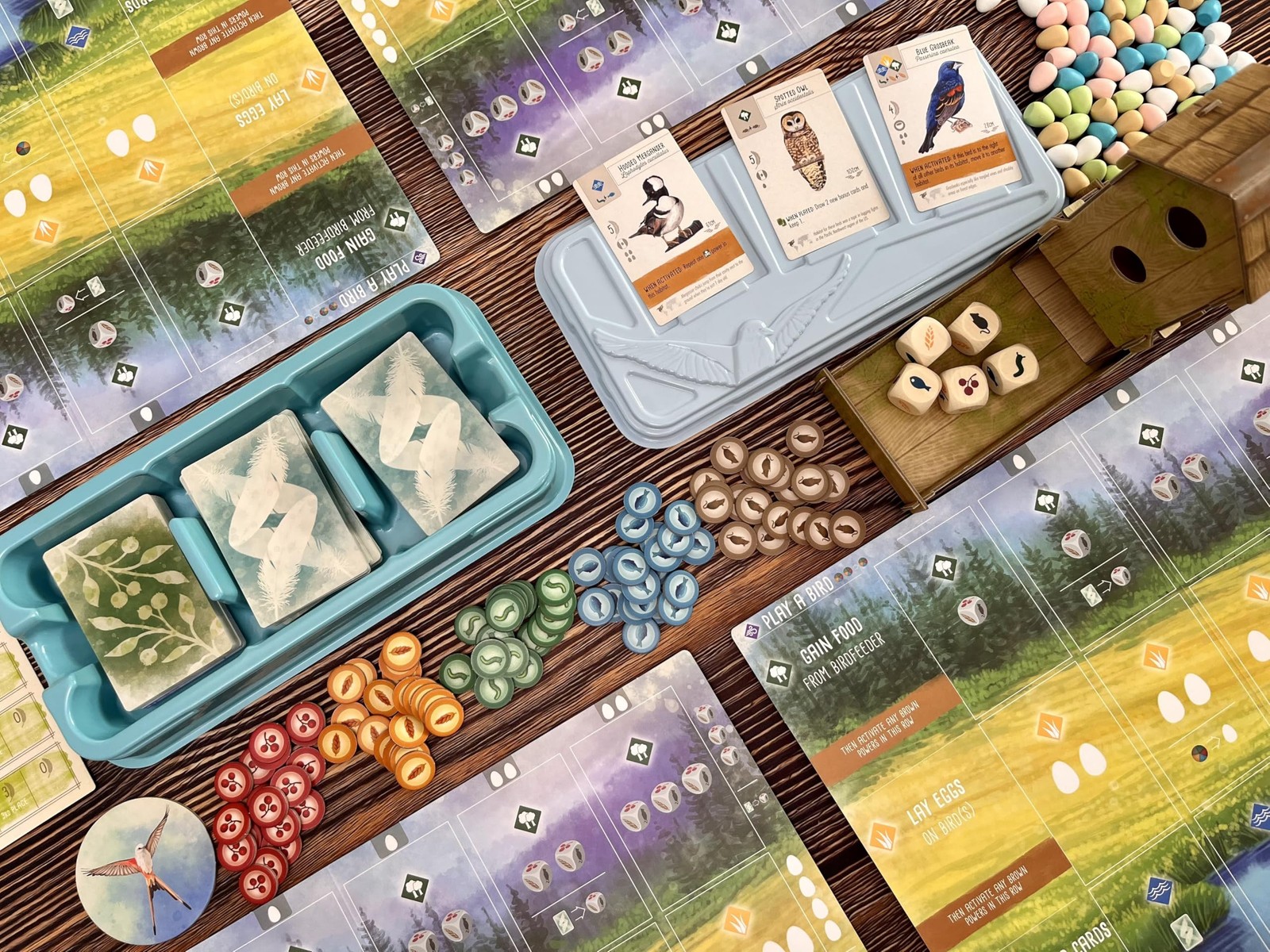 : Wingspan (Base Game) by Elizabeth Hargrave | A Relaxing, Award-Winning Stra…