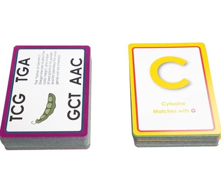 Variation A DNA Matching Card Game Genetic Lang. Of Living Things Using Alphabet