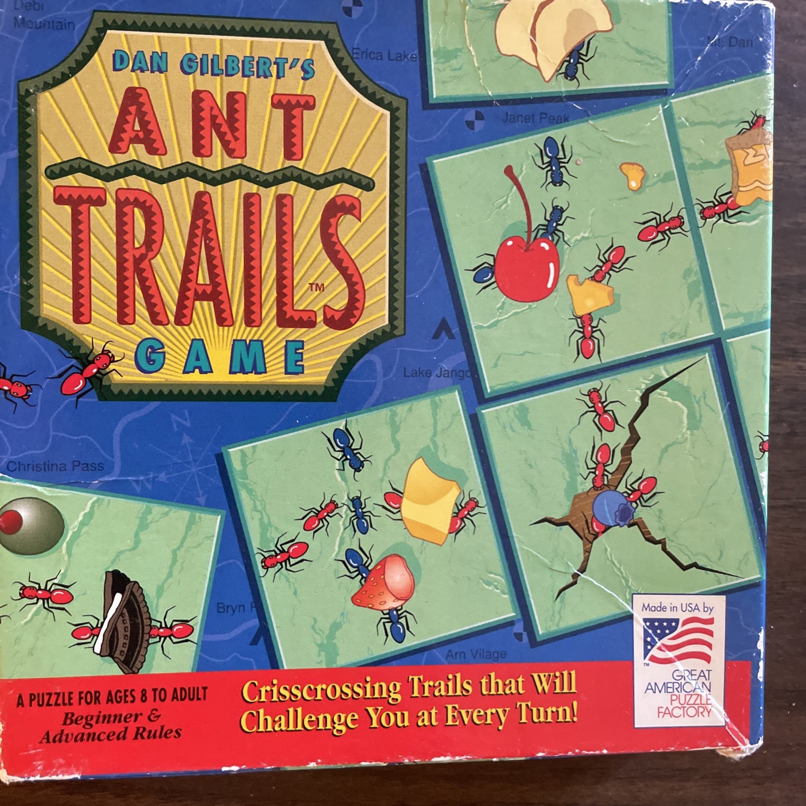 ANT TRAILS And CAT TAILS: 2 Games/ Puzzles For Ages 8 To Adult By Dan Gilbert