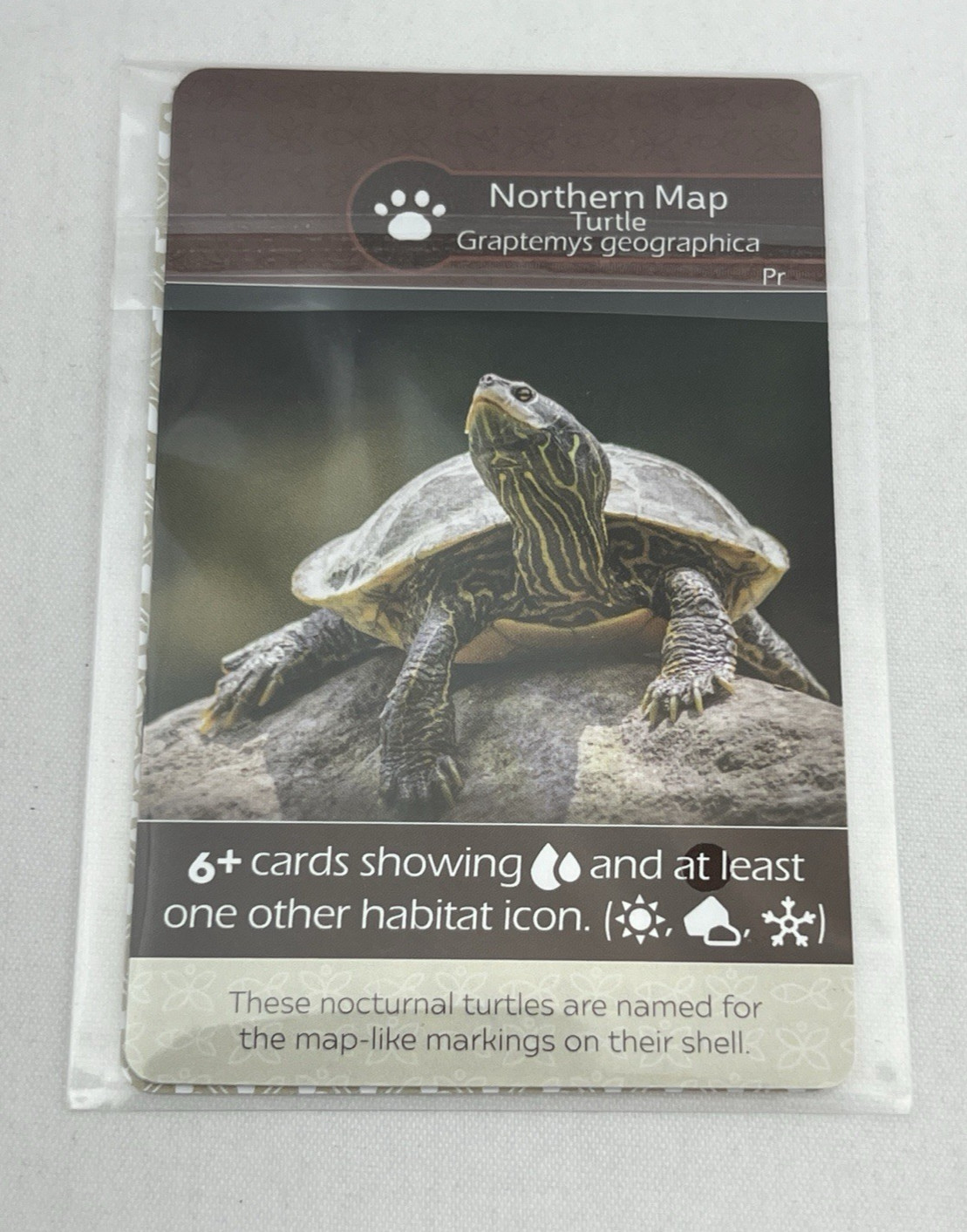Earth Board Game Promo Card Set Pack 1 – 3 Cards – Inside Up Promos Gen Con 2025