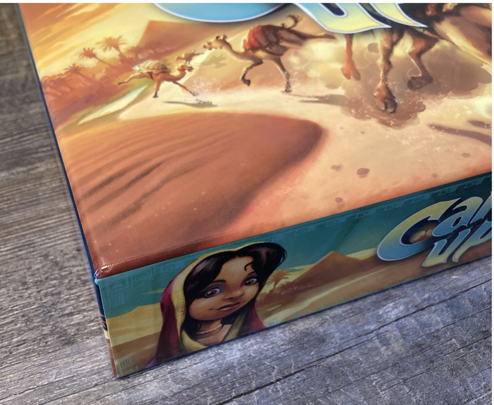 CAMEL UP BOX & DIVIDER INSERT ONLY Board Game Replacement