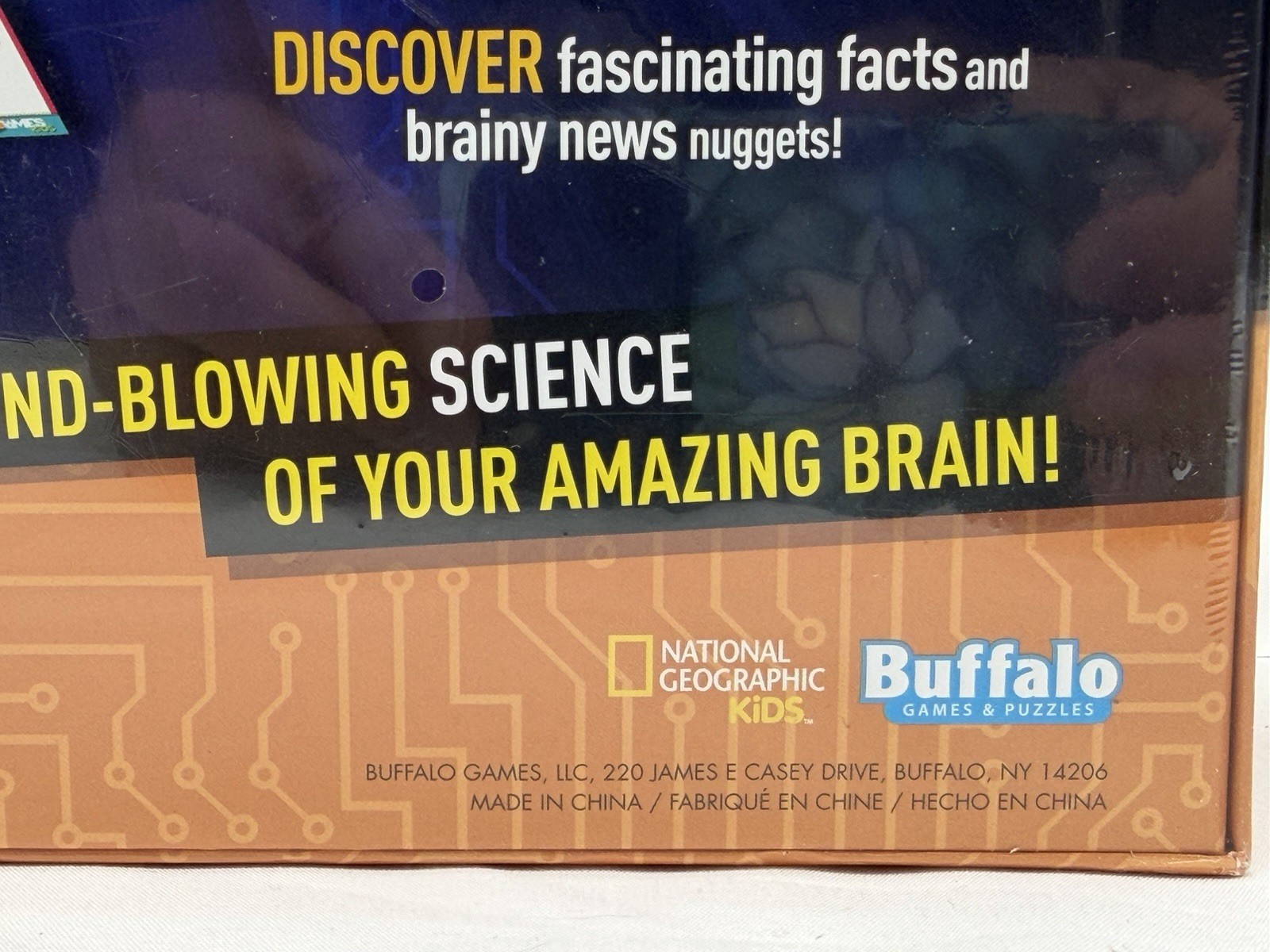 National Geographic Brain Games Kids Board Game Factory Sealed Buffalo Games New