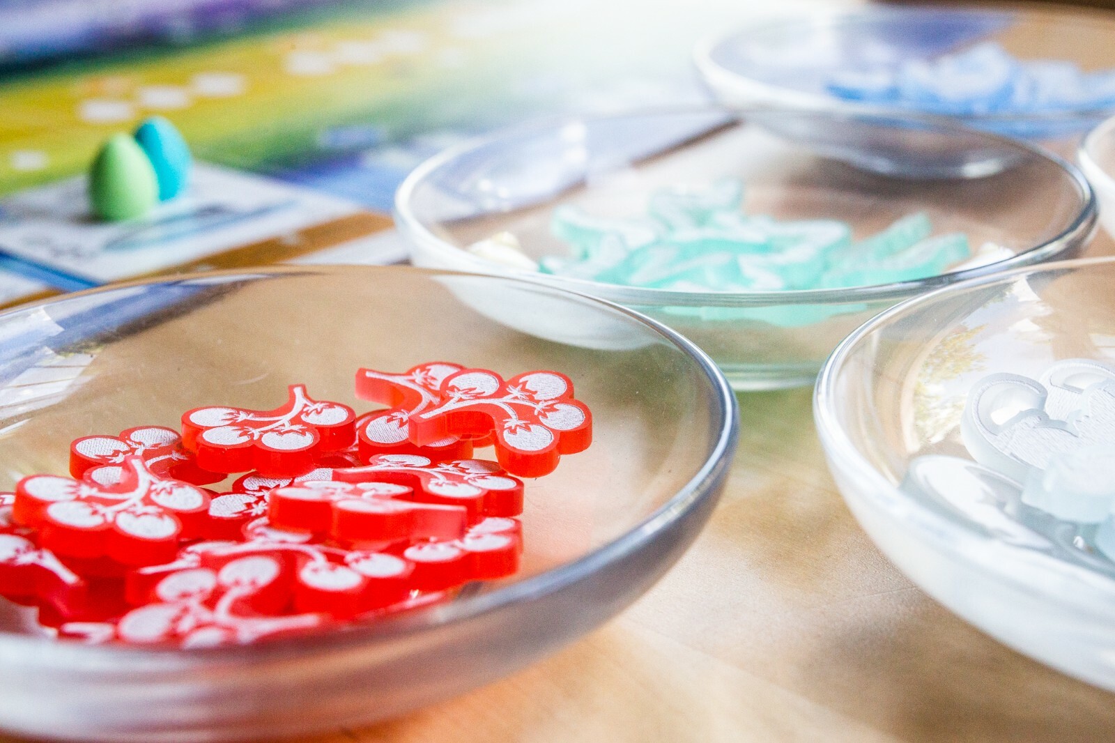 Wingspan Board game Frosted Acrylic Tokens Set