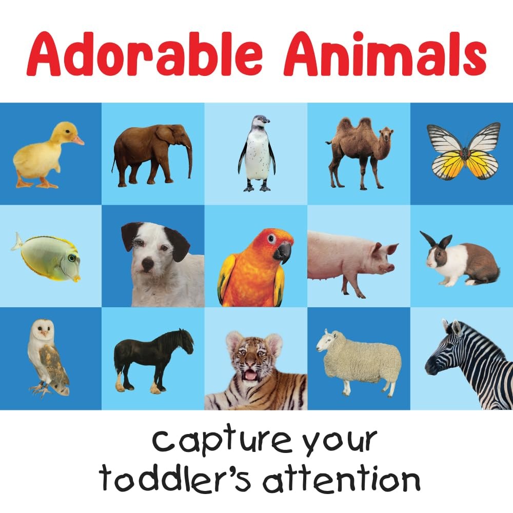 Matching Card Game First 100 Animals Preschool Learning Briarpatch Based Board