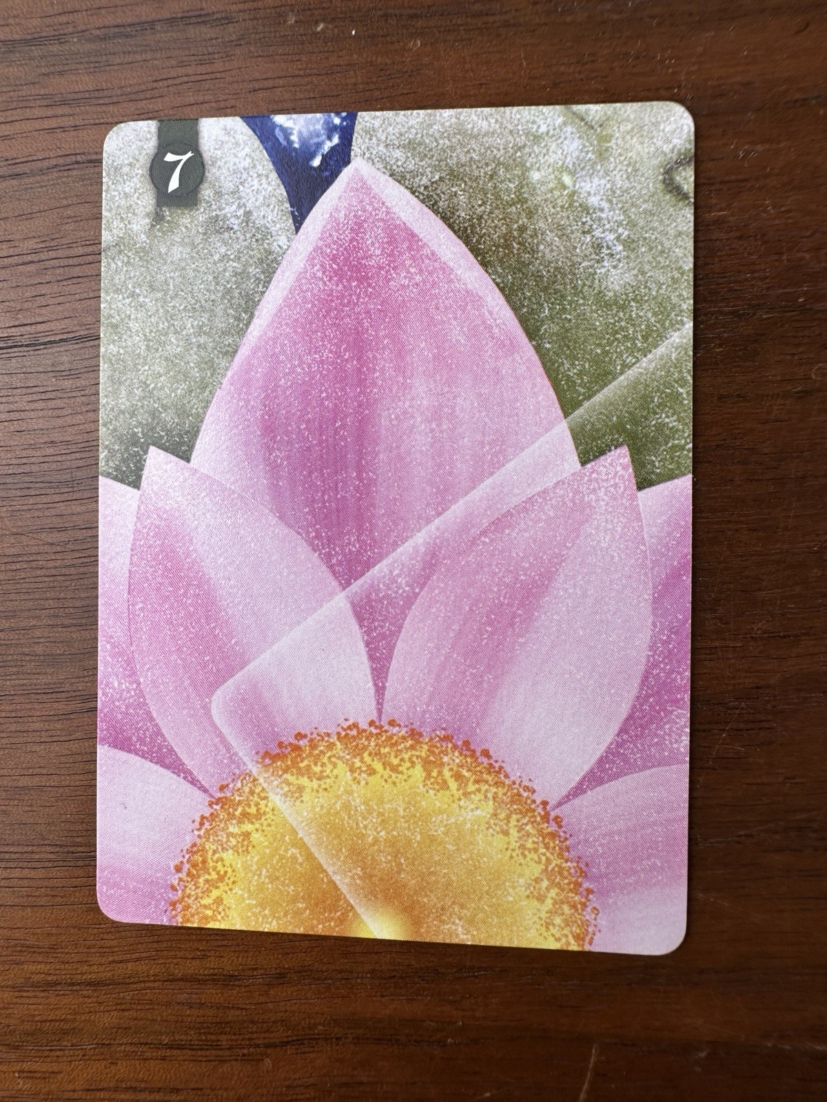 Seven Card Pack Promo for Lotus by Renegade Game Studios (2016)