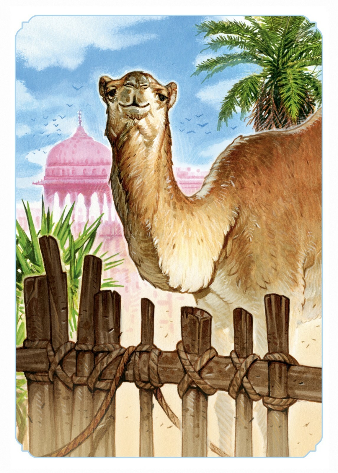 Jaipur New Edition 2-Player Card Game Asmodee & Space Cowboys ASMJAIP01