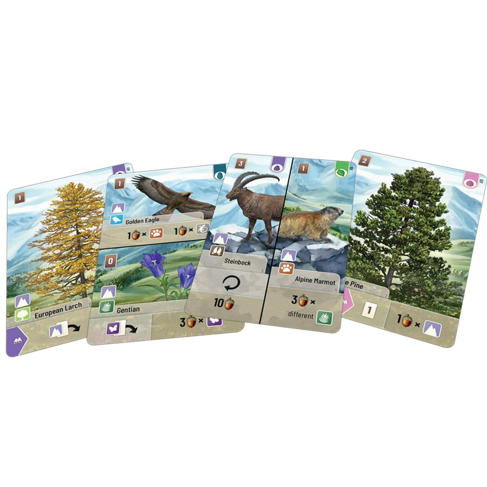 Forest Shuffle Alpine Expansion 36 New Cards For Enhanced Strategy Gameplay