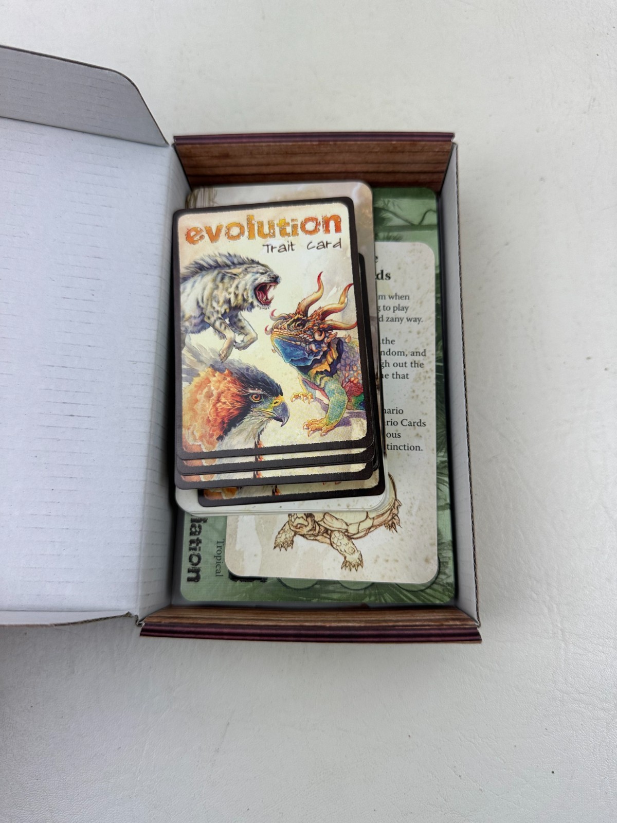 Evolution Promo Pack III 3 by North Star Games 2016 – Complete