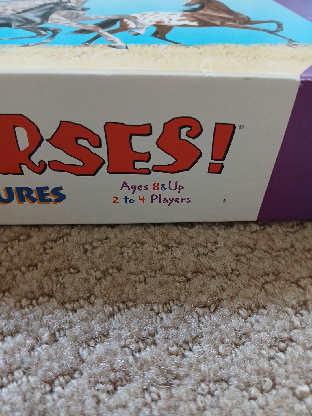 Herd Your Horses Wild Adventures Board Game (2009 Aristoplay, USA) Complete