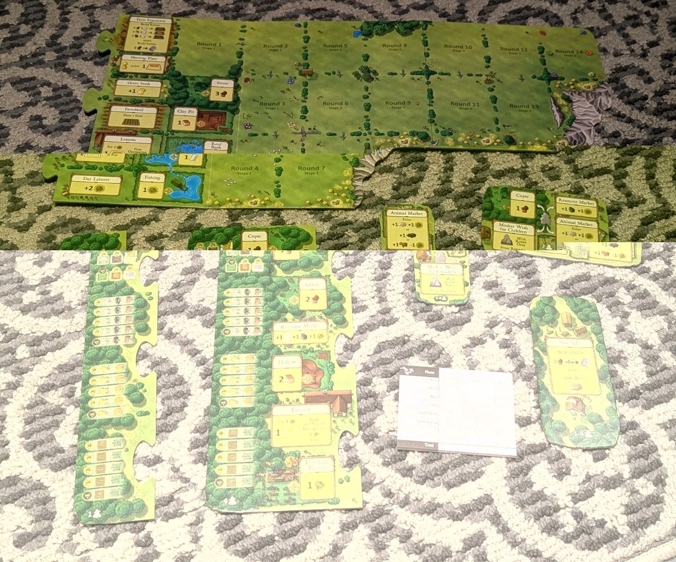 Agricola Board Game Advanced Level Open and Complete