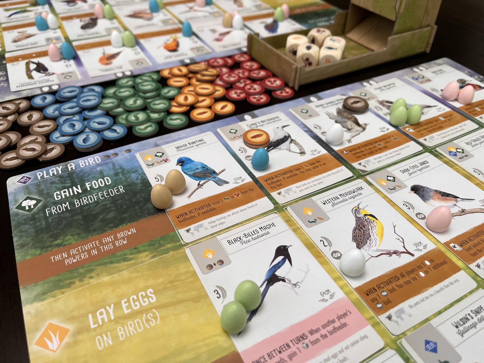 : Wingspan (Base Game) by Elizabeth Hargrave | A Relaxing, Award-Winning Stra…