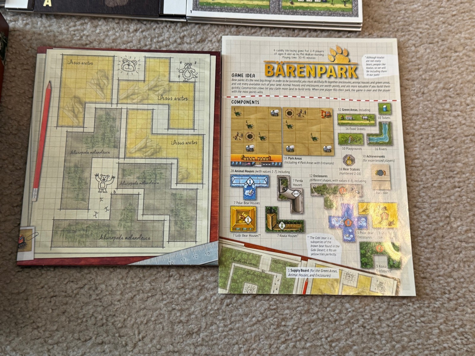 Barenpark Board Game by Lookout Games! – Never Played & Unpunched – Complete Phi