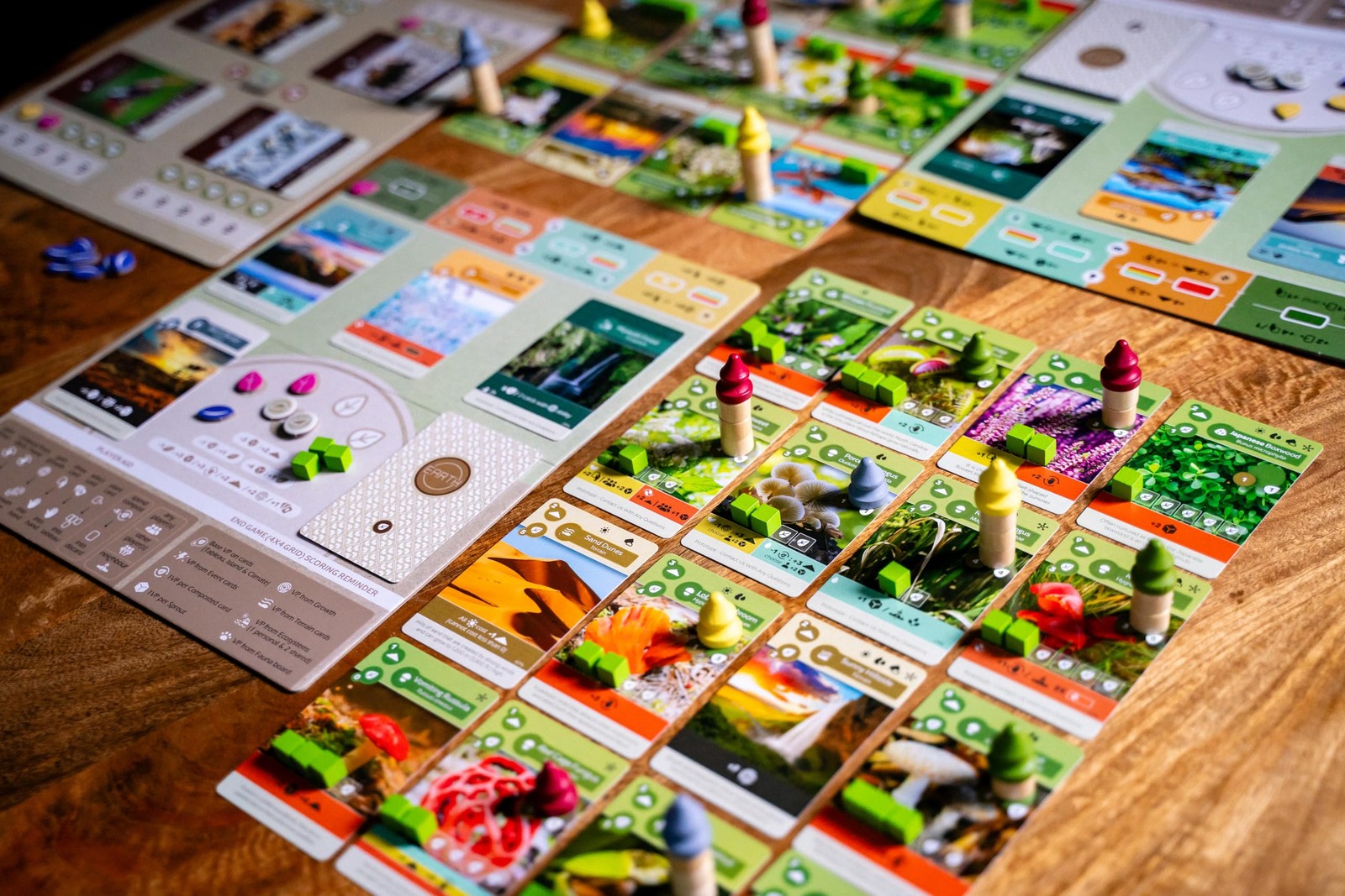 Inside Up Games Earth: Abundance Expansion | Board Game Expansion | Ecosystem…