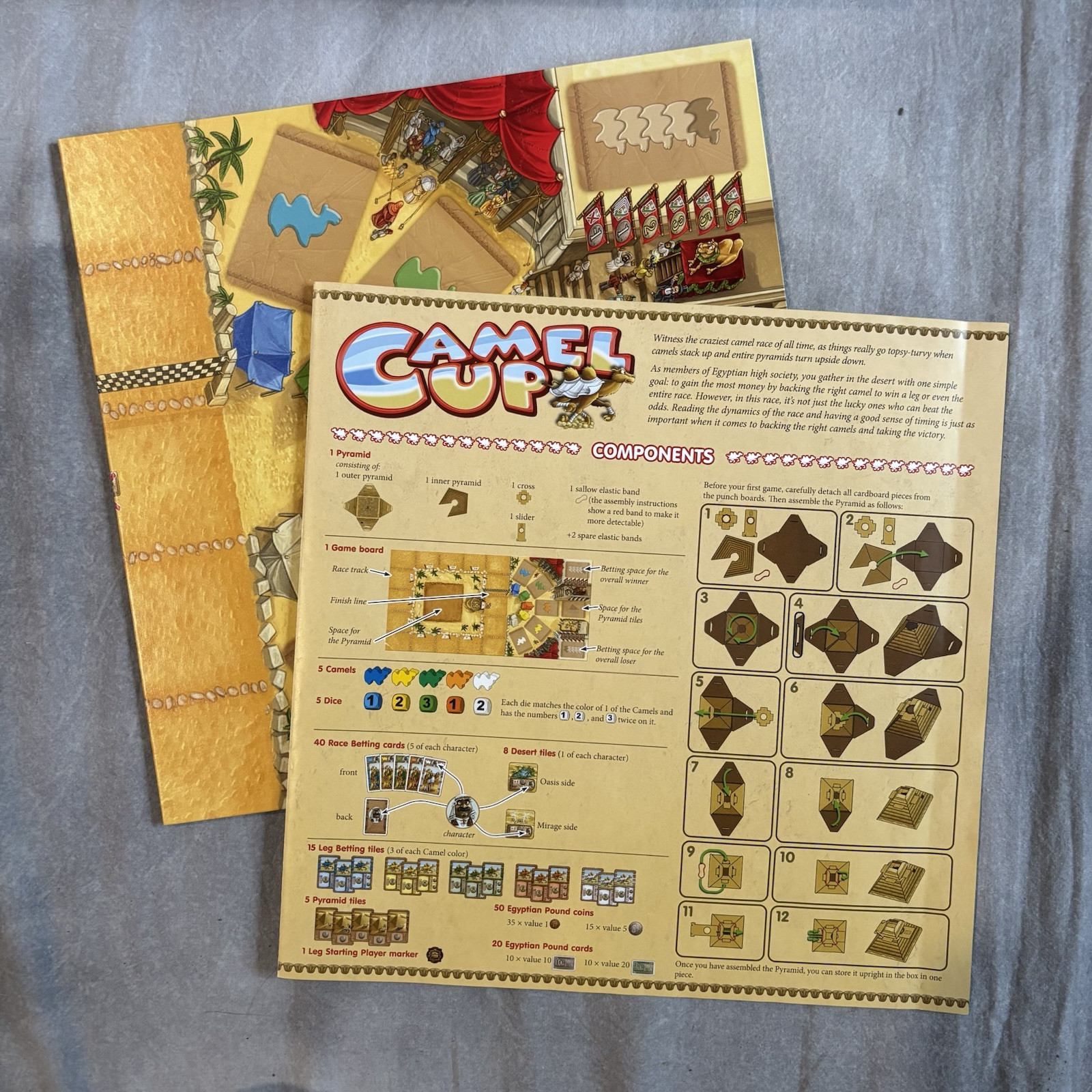 Camel Up / Cup Board Game – 100% Complete – Z-Man Games – Stephen Bogen Clean