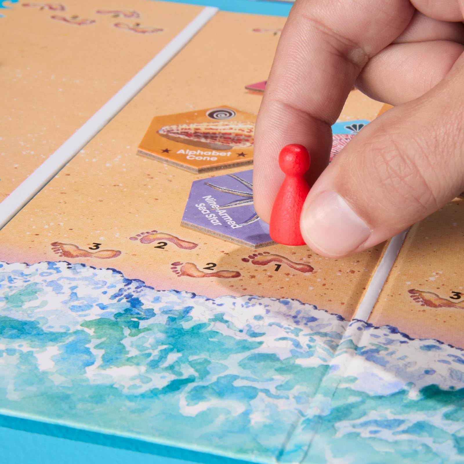 Sanibel – Hasbro