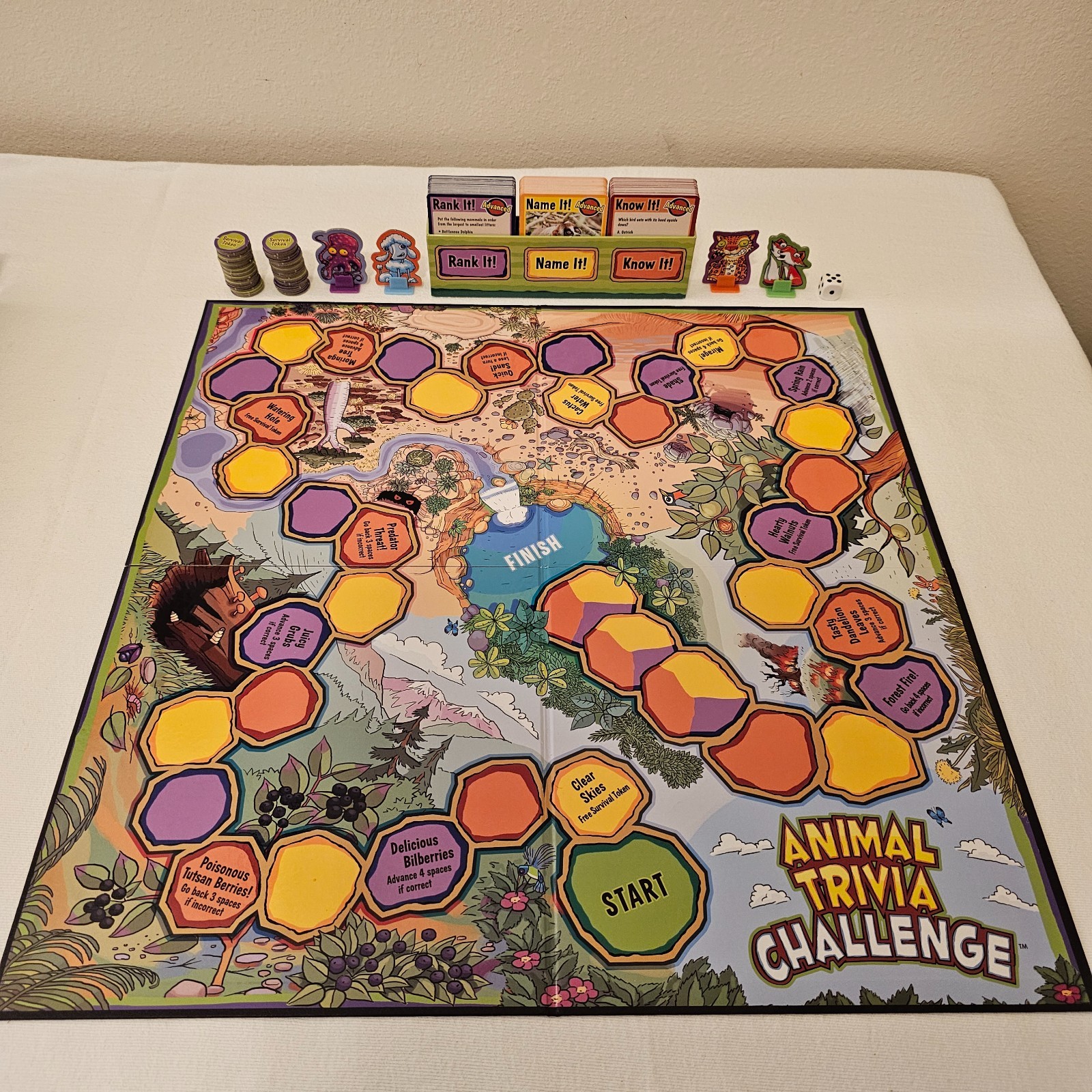 Animal Trivia Challenge board game Animal Facts: “Know It, Name It, or Rank It”