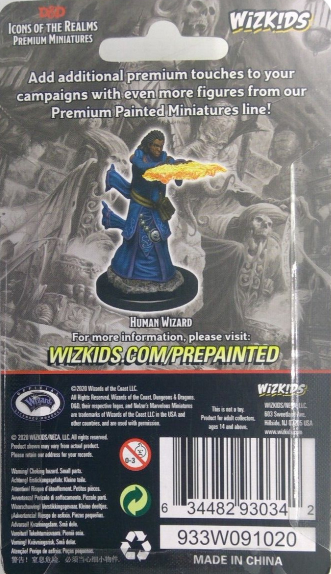 DUNGEONS & DRAGONS ICONS PREMIUM MINIATURES ~ HUMAN FEMALE WIZARD