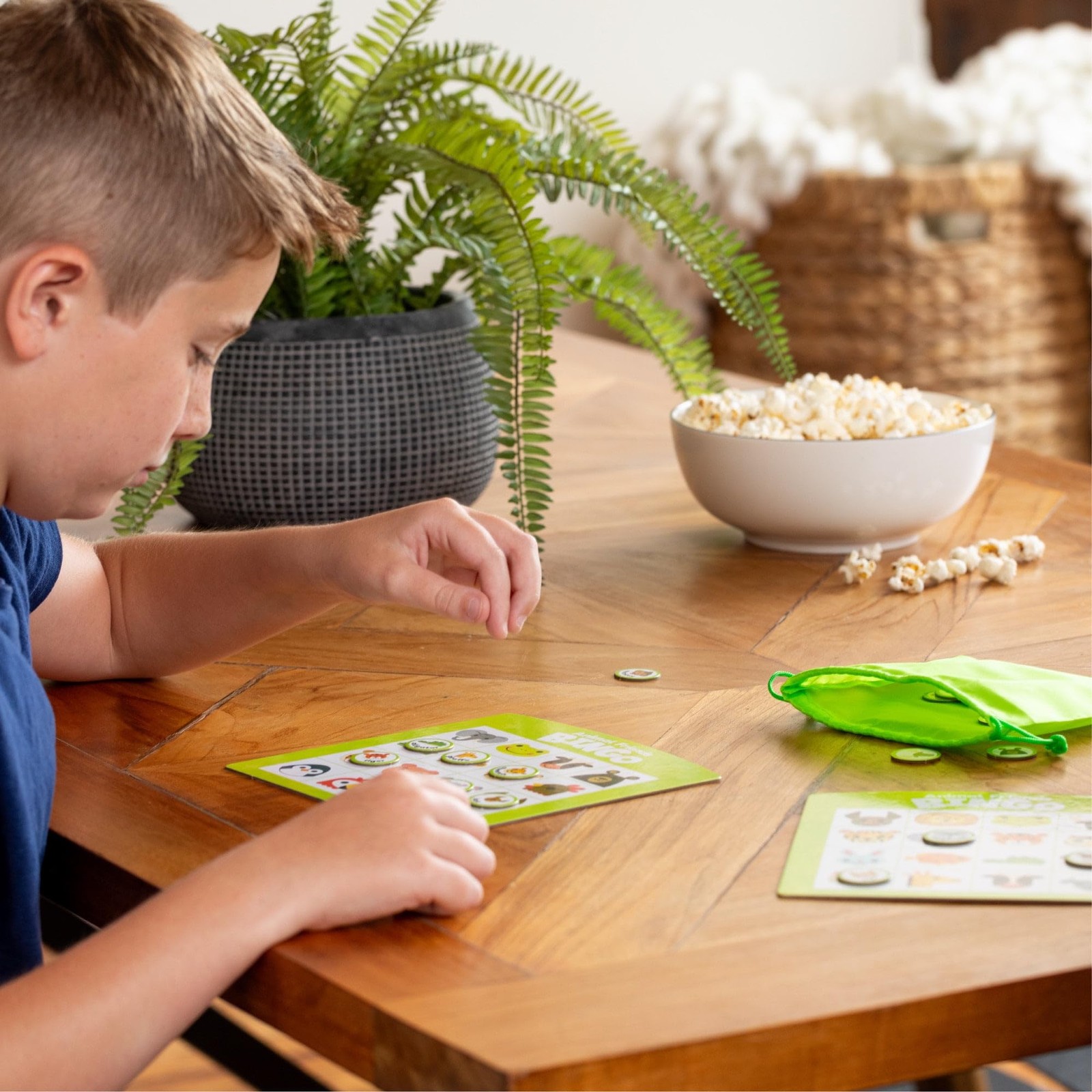 Family Bingo – Educational Bingo Game for Ages 3–6+ | Four Games in : Animals…
