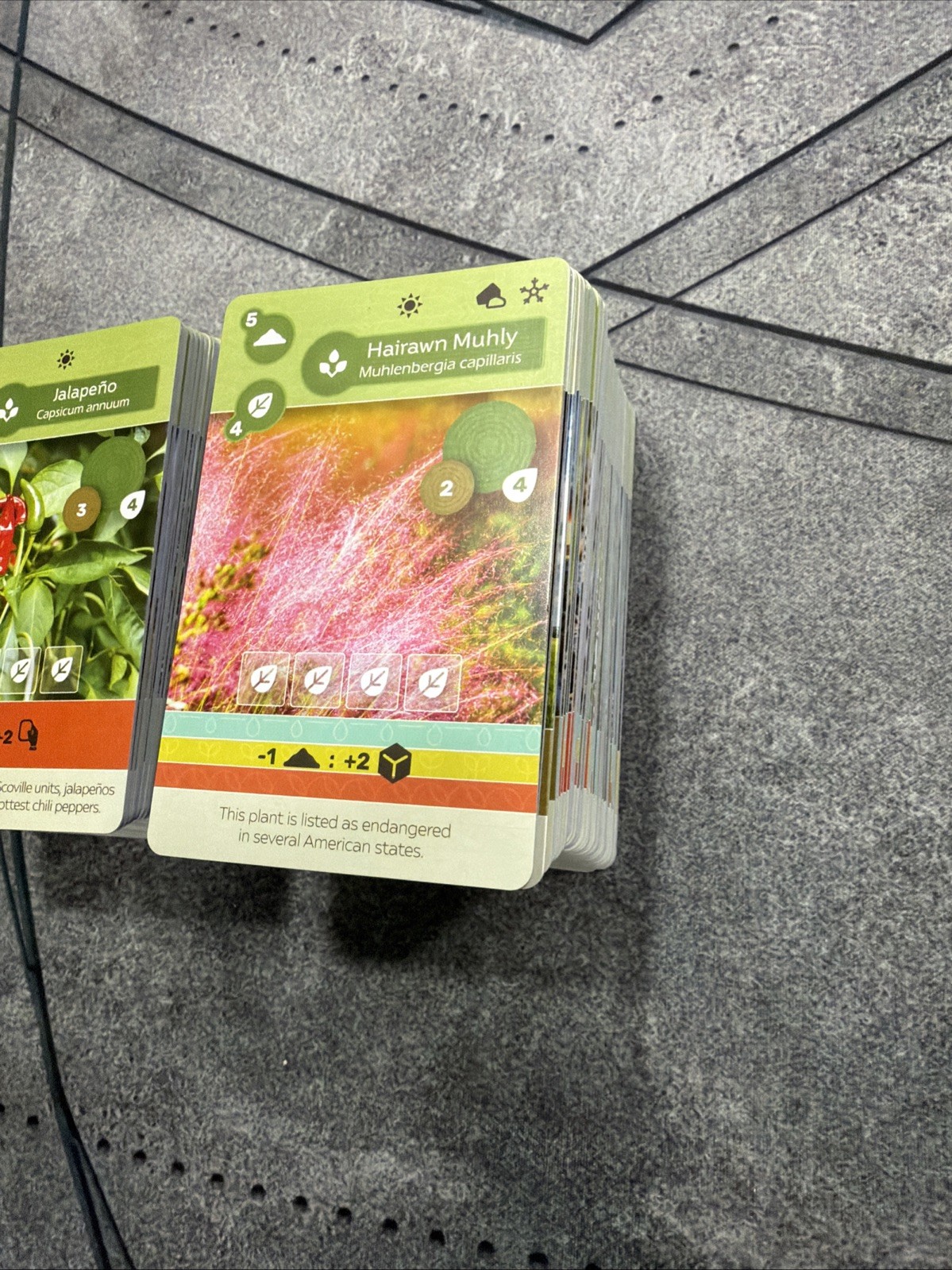 Earth Cards Earth Board Game Replacement Parts Inside Up Games
