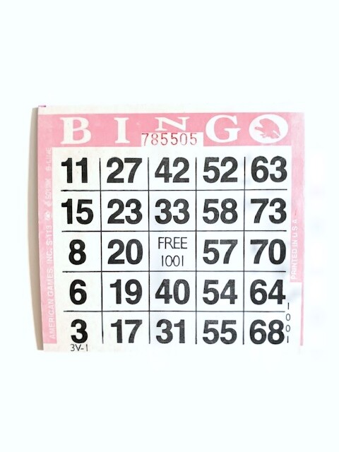 1 on Single Face Bingo Paper Cards- Pack of 500- Color Pink Border