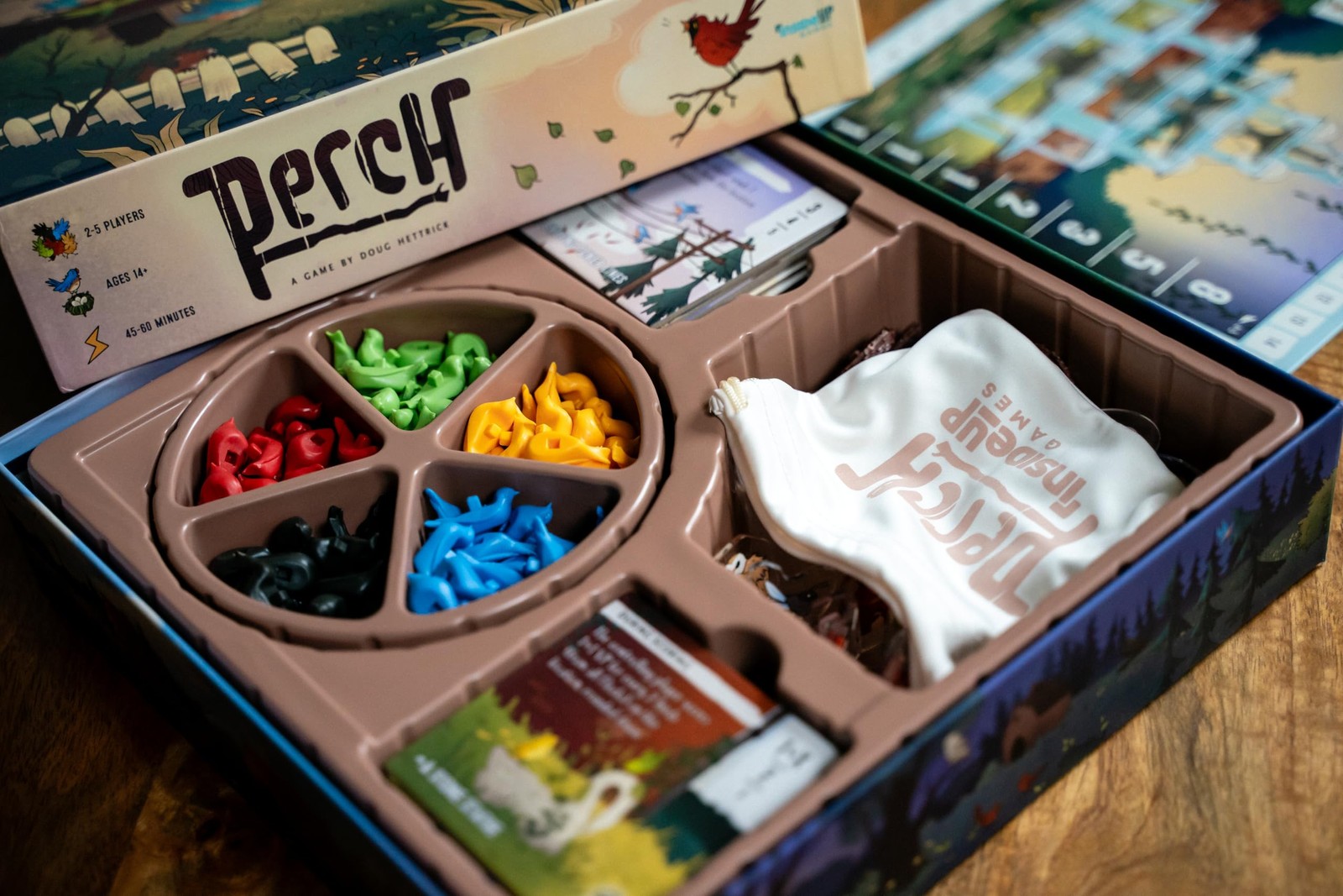 Inside Up Games Perch | Fast-paced, Interactive Battle of The Birds |Area C
