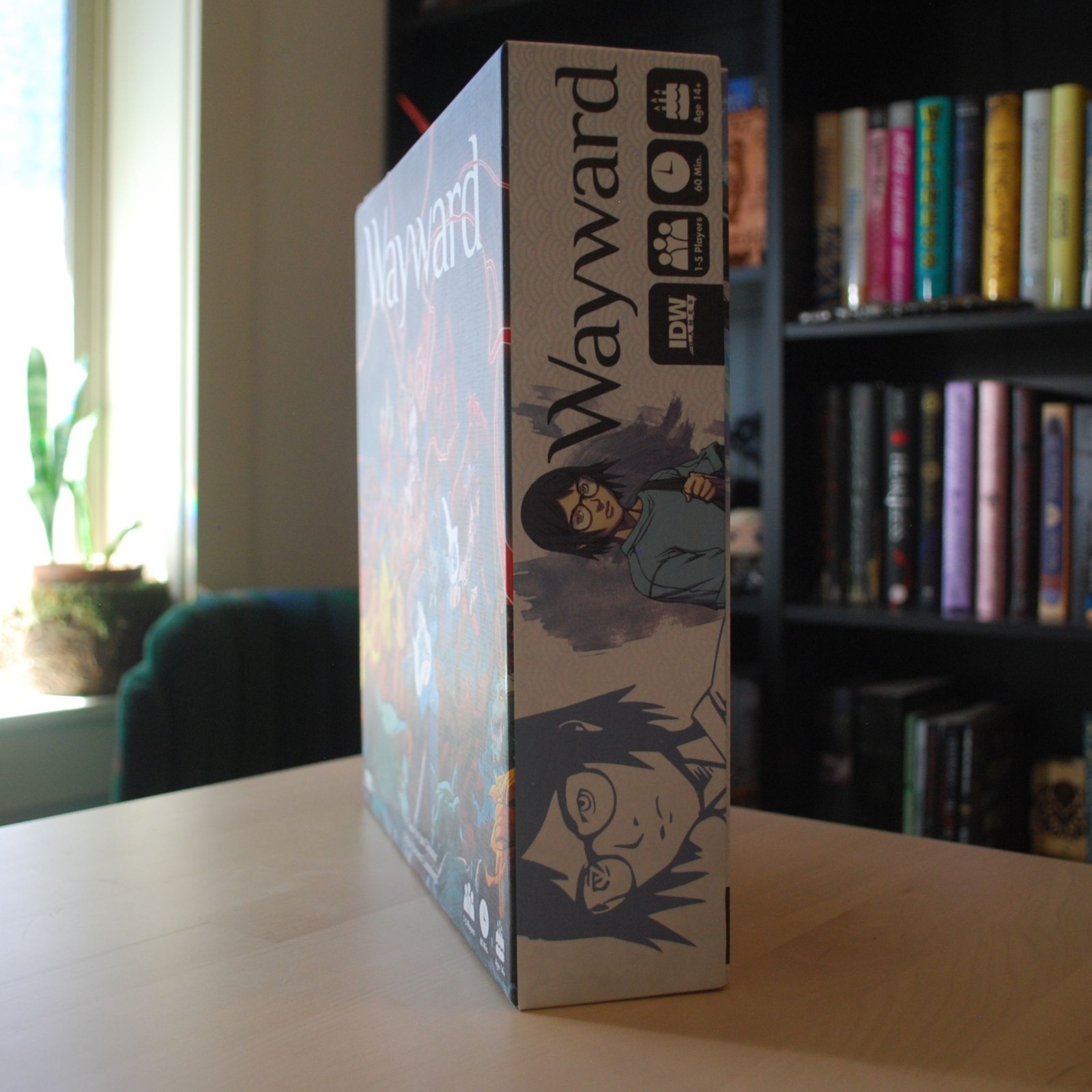 Wayward Board Game | IDW Games | Cooperative Strategy Game Complete