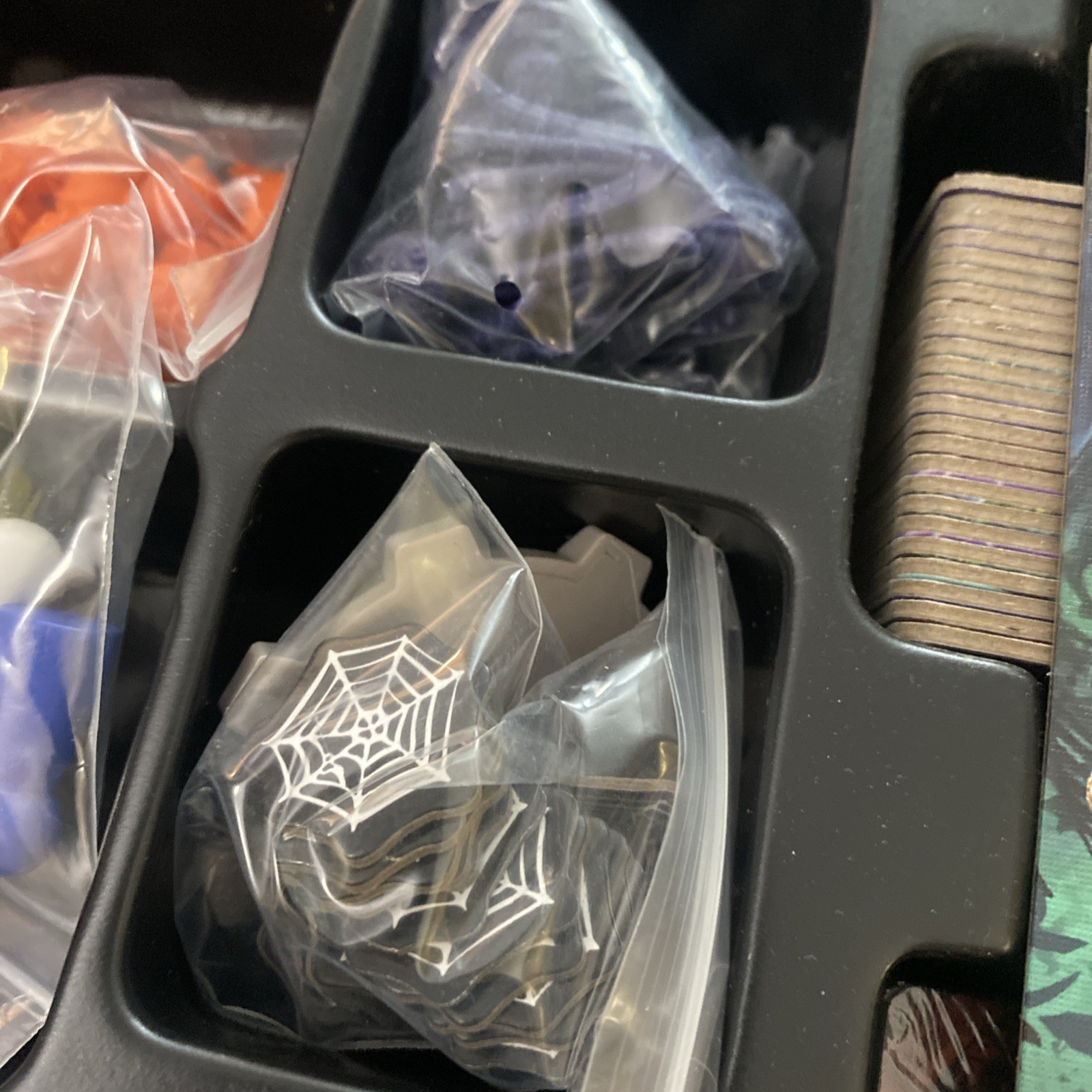 Gamewright – Forbidden Jungle – Survive The Wild