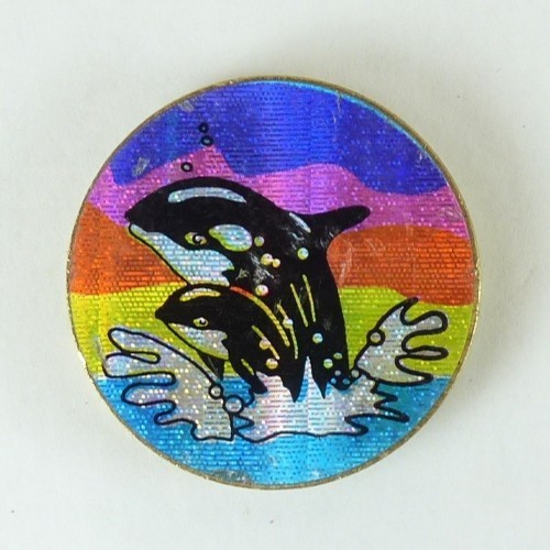 1/4″ Thick 2.5oz Heavy Brass Double Sided Pogs Slammer Poison Skull Killer Whale