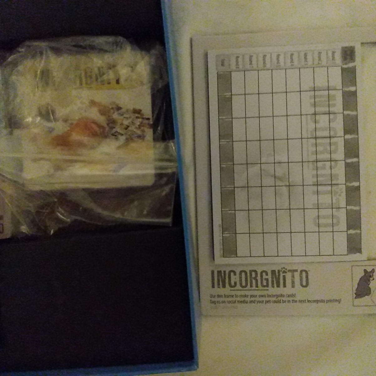Game Incorgnito Corgi Dog Guess Based on Clues Ages 8 Up Preowned Complete 2022