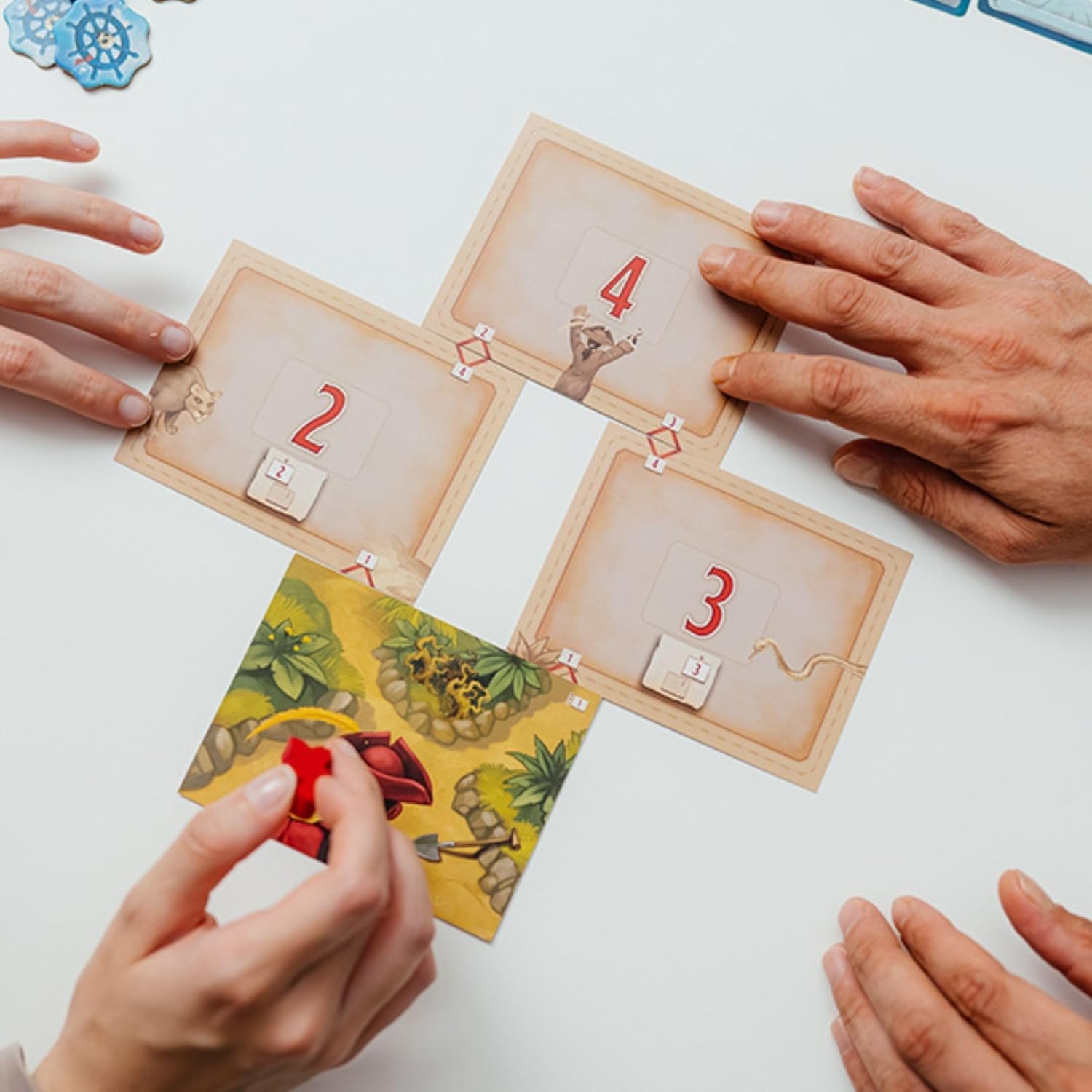 Lost in Adventure: The Curse of Jack Parrot by DV Games Ages 12+ 1-6 Players