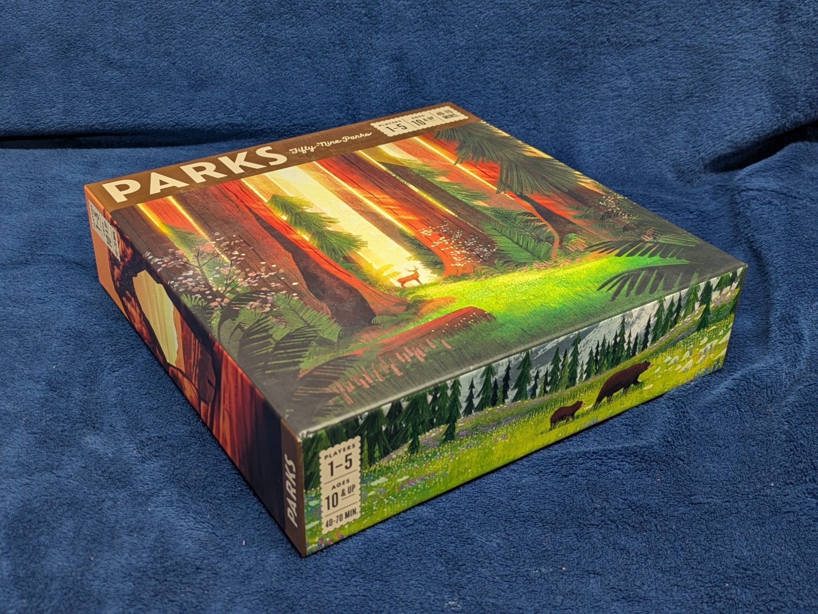 Parks Board Game 1st Ed. COMPLETE + All Expansions Rare Barnes & Noble Promo Box