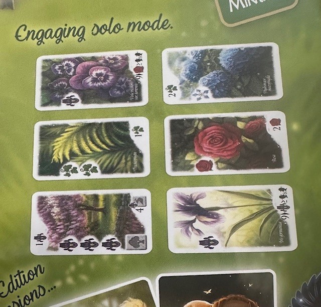Flourish Signature Edition New In Plastic Card Game Starling Games 2020